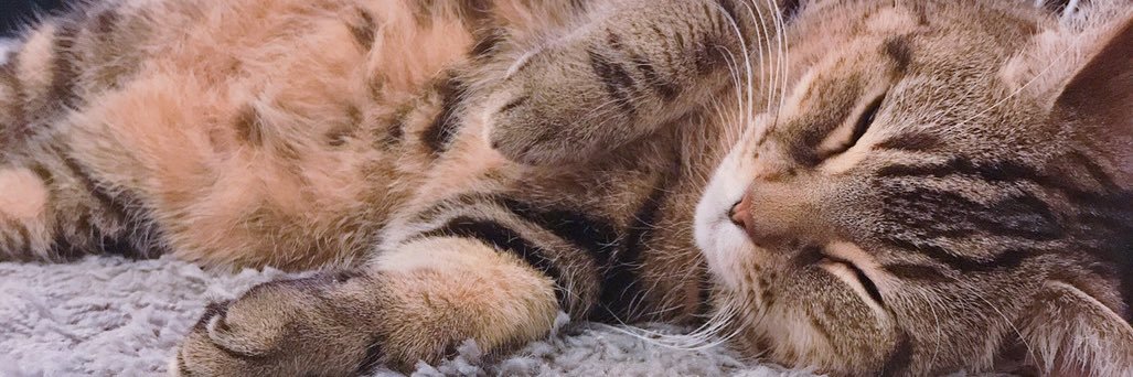 久永実木彦 banner