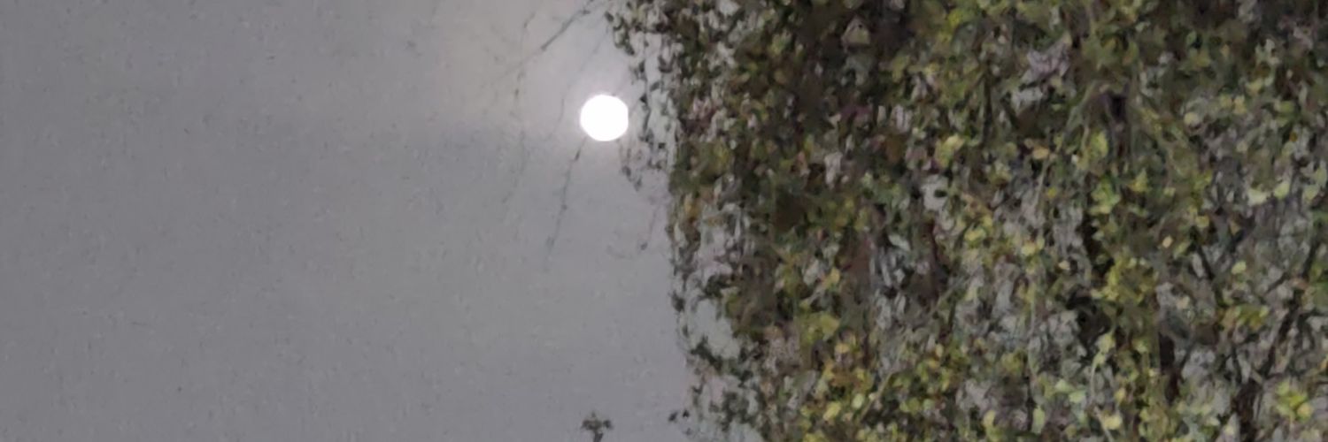 Mars_Bicha's profile banner image