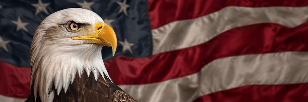 Rena 🇺🇸 banner