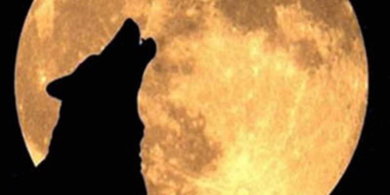 _ResNonVerba's profile banner image