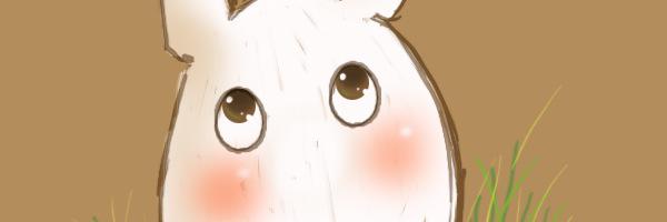 qrcminah's profile banner image