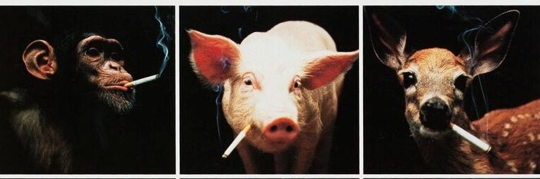 rochlitzzz's profile banner image
