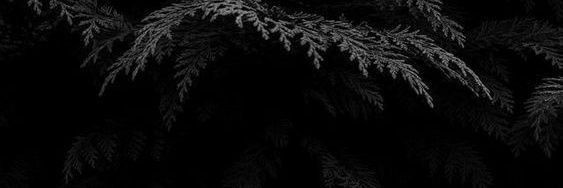 grinteelatte's profile banner image
