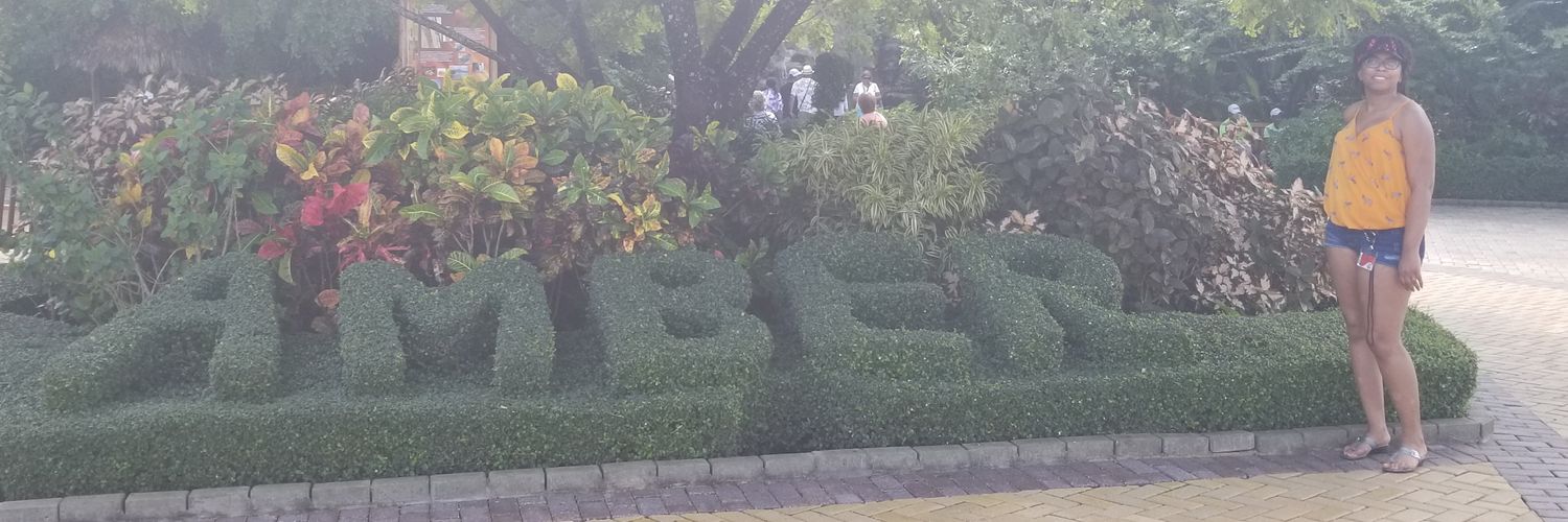 strayBlossom's profile banner image