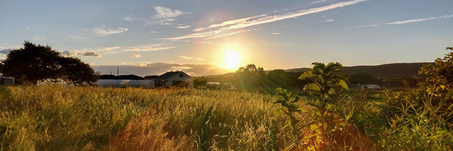 pakakuma's profile banner image