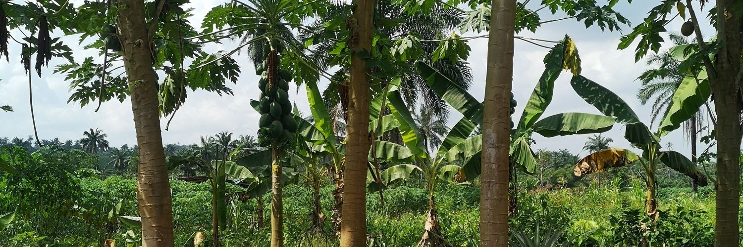 Samson Ṣèyí Famusan banner