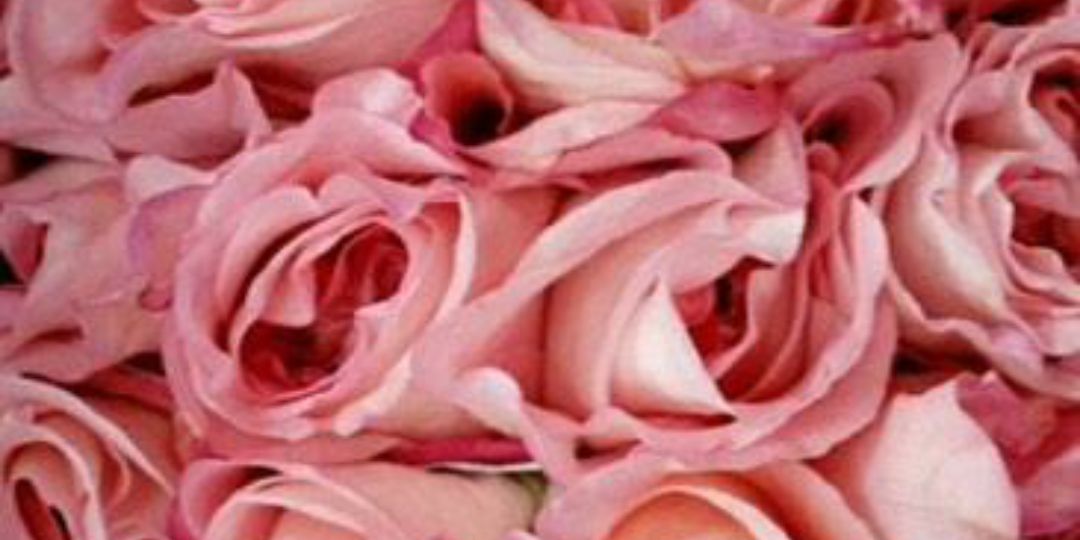 m_jooody's profile banner image
