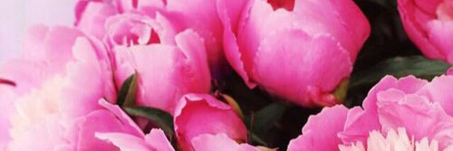 emilyspozos's profile banner image