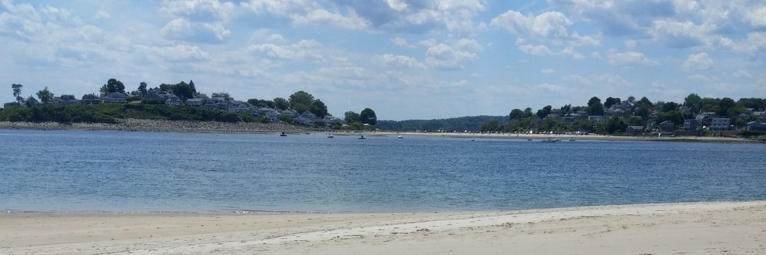 Chris Cameron banner