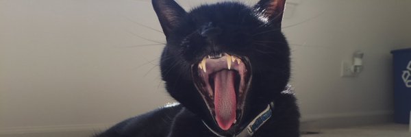 DavidofBernauer Profile Banner