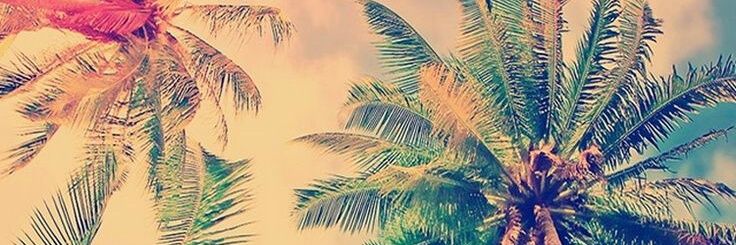 YesBrod's profile banner image