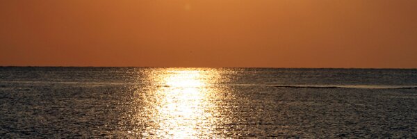 Fntbls Profile Banner