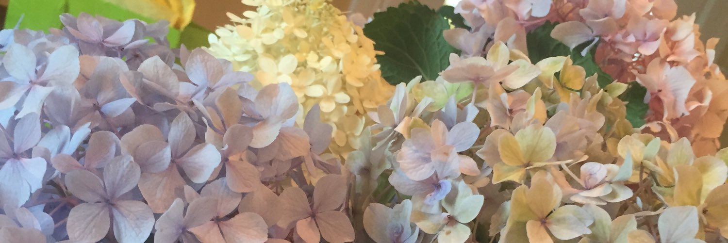 _marycarter_'s profile banner image