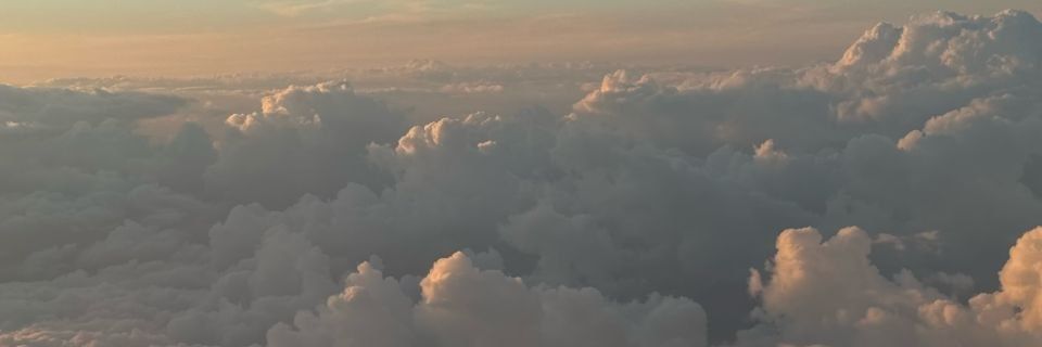 p? banner