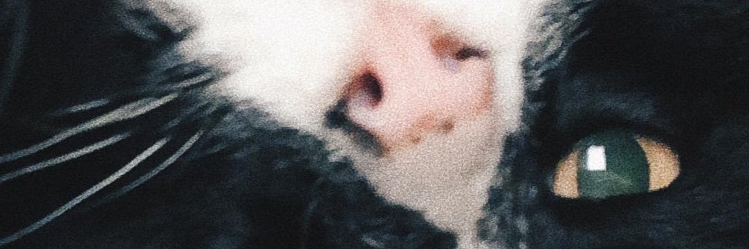 isakarimc's profile banner image