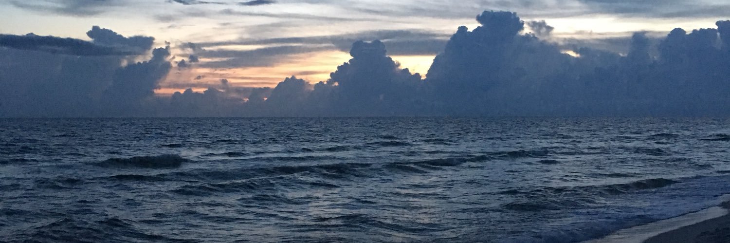 RealJonsHaveAnH's profile banner image