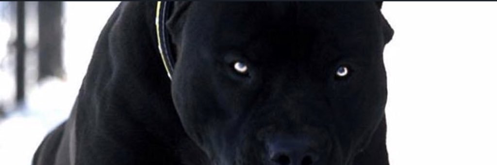 raines_ty's profile banner image