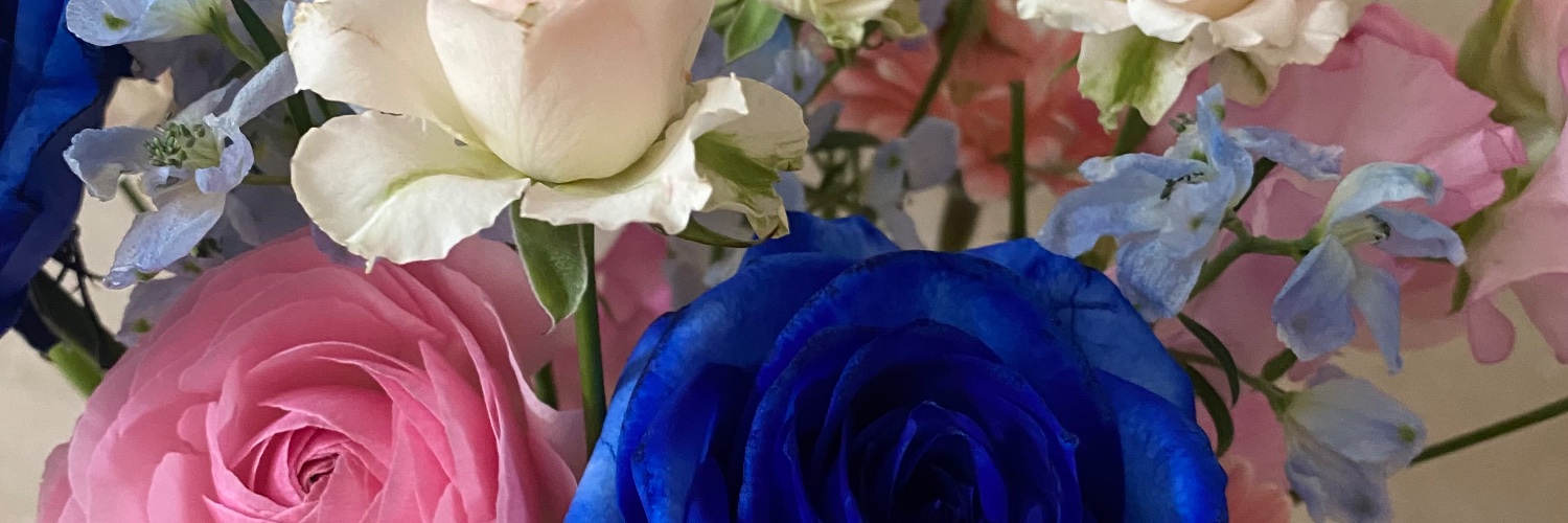 Canua____'s profile banner image