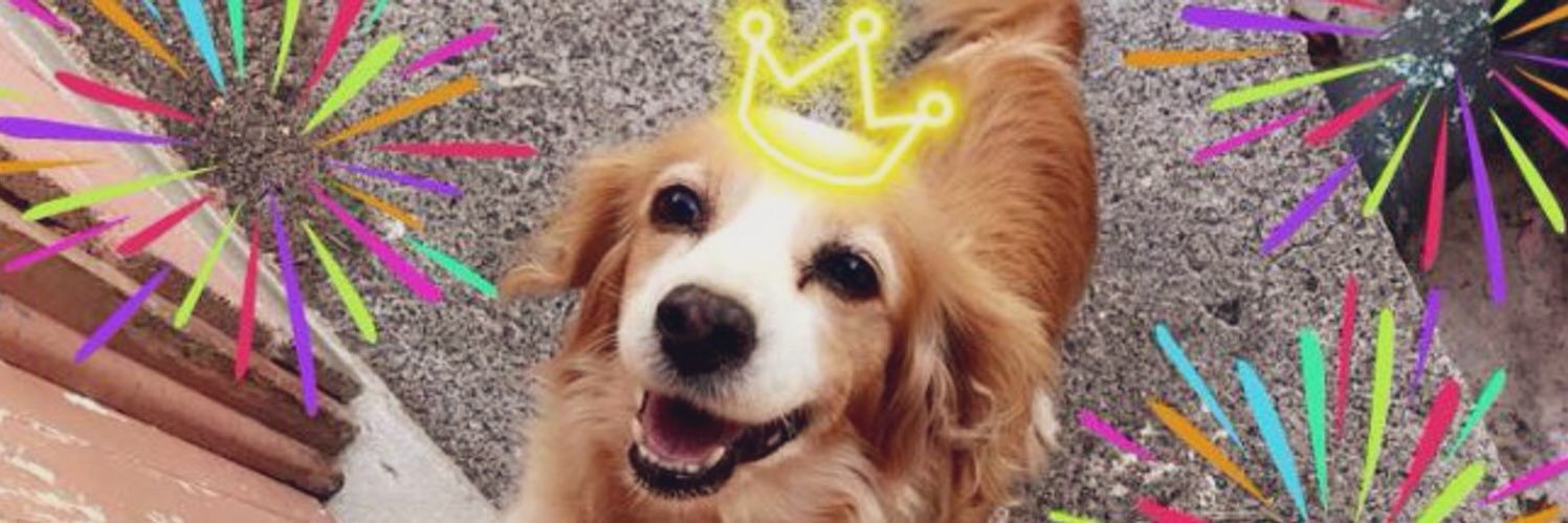 Fernandalfarooo's profile banner image