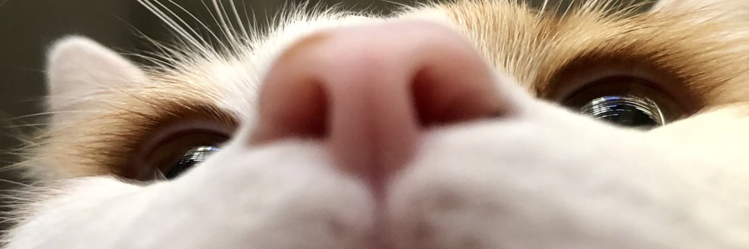 xmathsonx's profile banner image