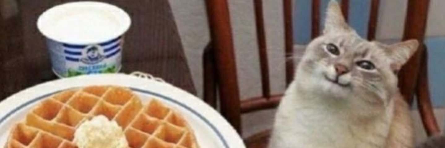 SwaAntoine's profile banner image
