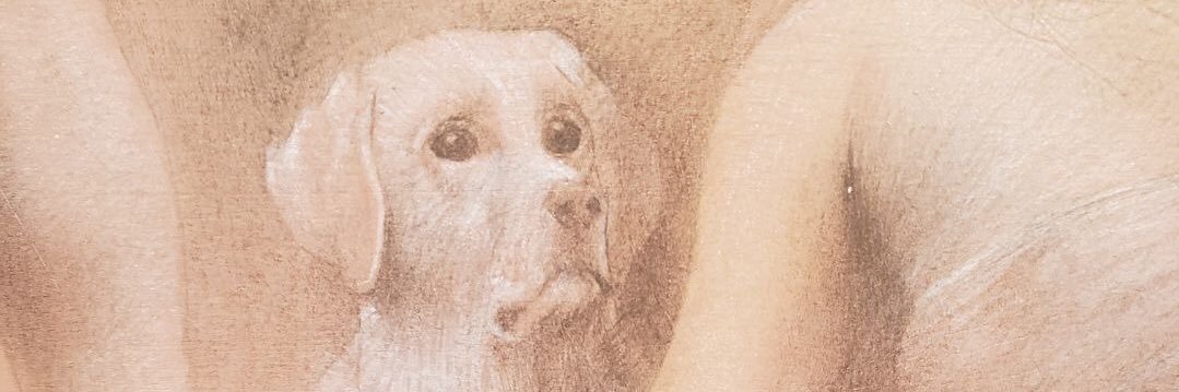 dmanion6's profile banner image