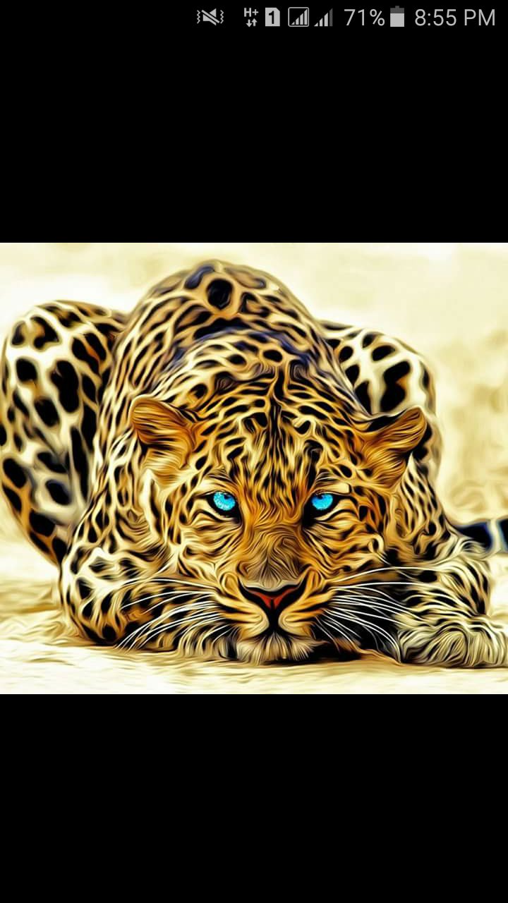 saheltravis's profile banner image