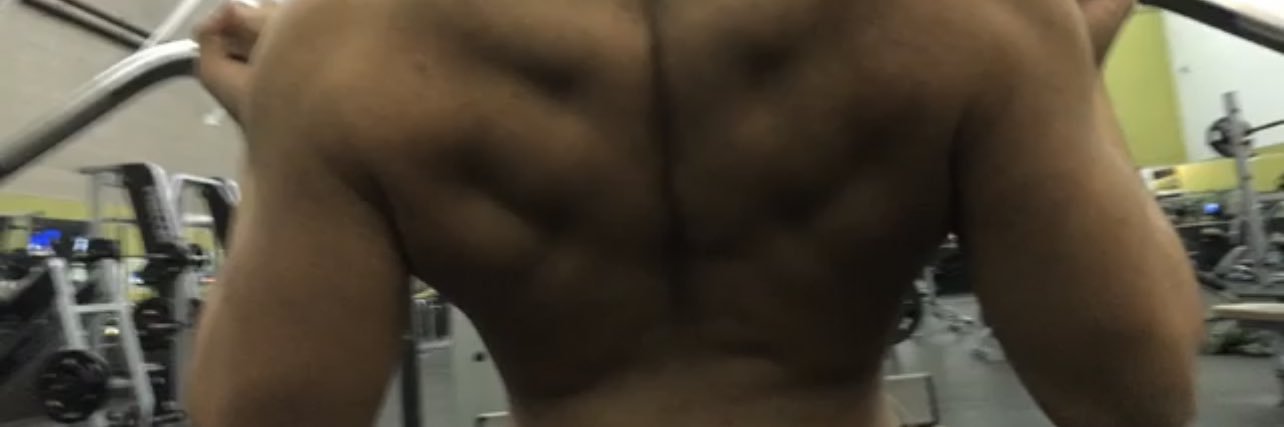 poly_bryson's profile banner image