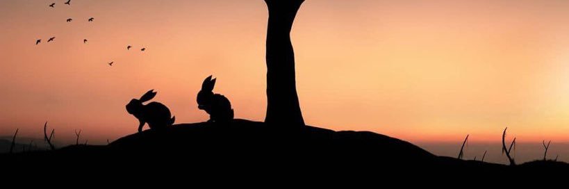 lovle_am's profile banner image