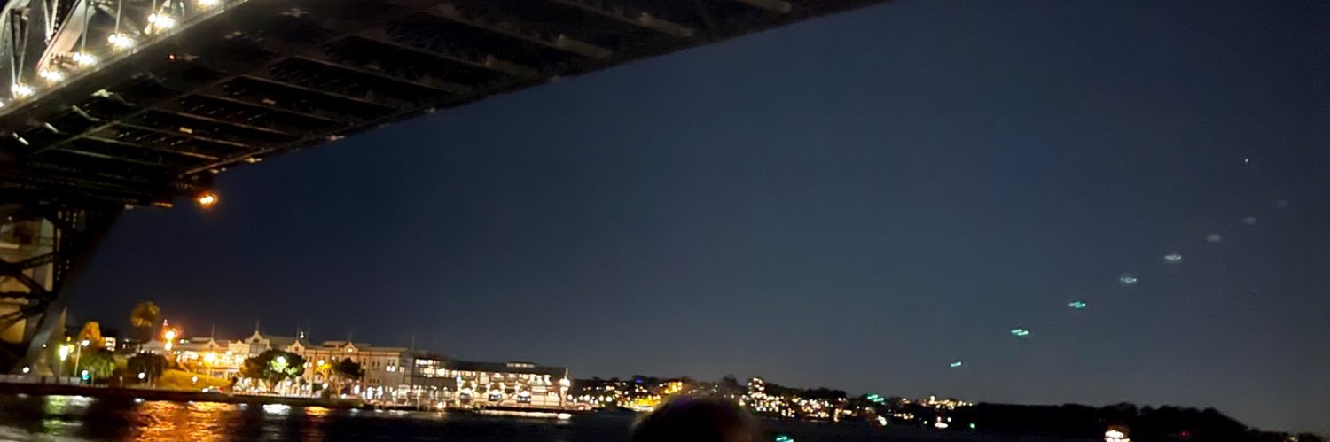 subvonglee's profile banner image