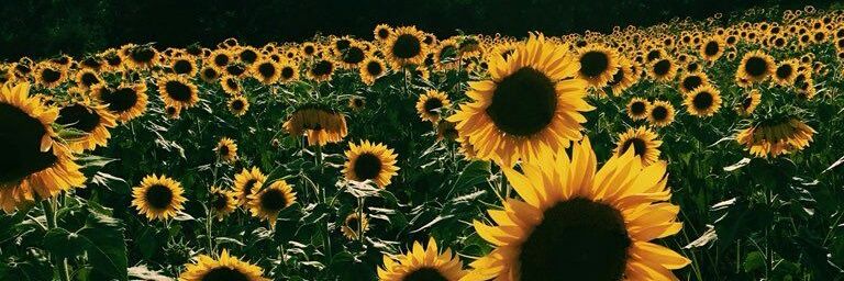 ma_phhh's profile banner image