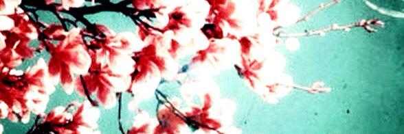 __________hpdf's profile banner image