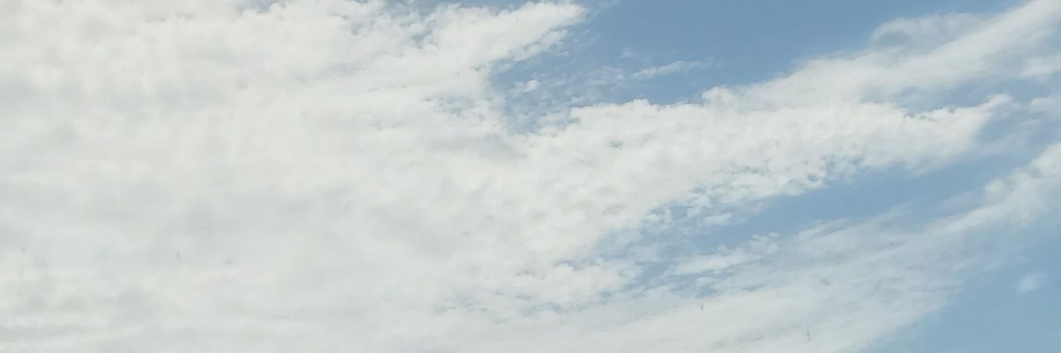 justsandiam's profile banner image