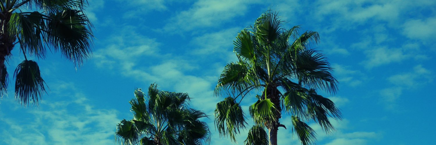 sr_reen's profile banner image