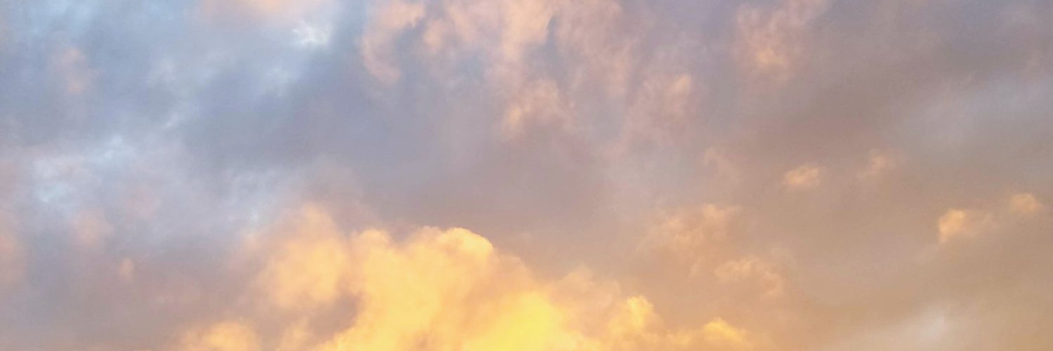 LindsayFoote's profile banner image
