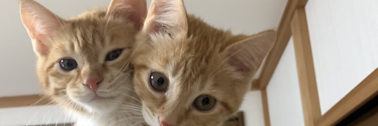 LittleMT75's profile banner image