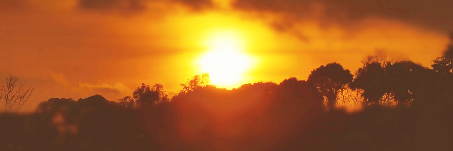 blueraven21's profile banner image