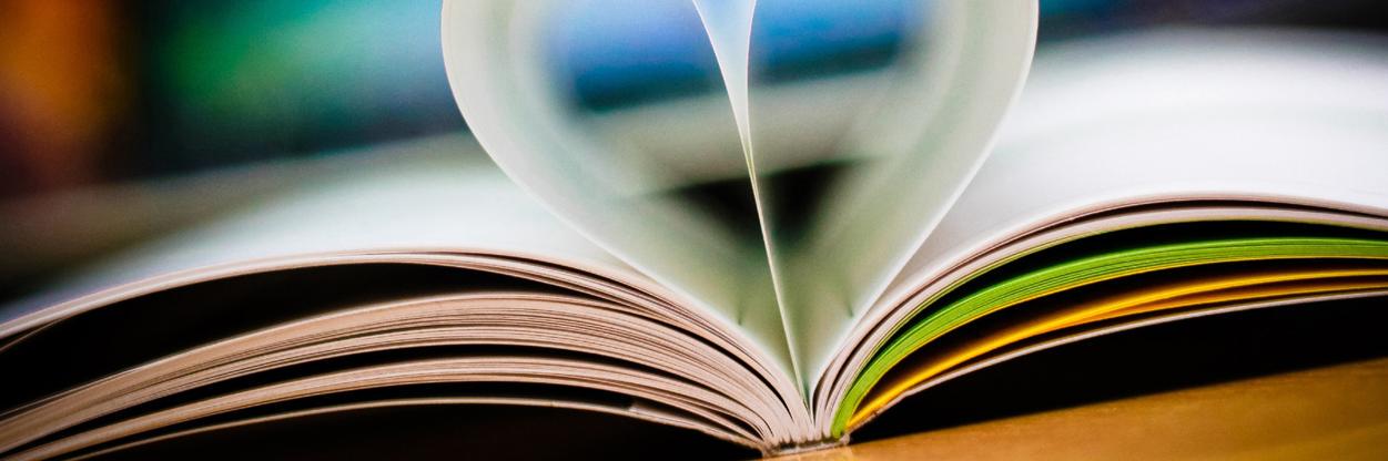juniorlibreria's profile banner image
