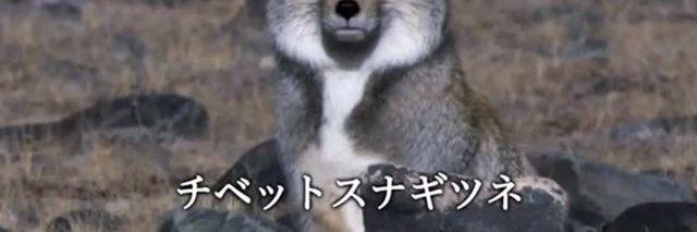 jirunatu's profile banner image