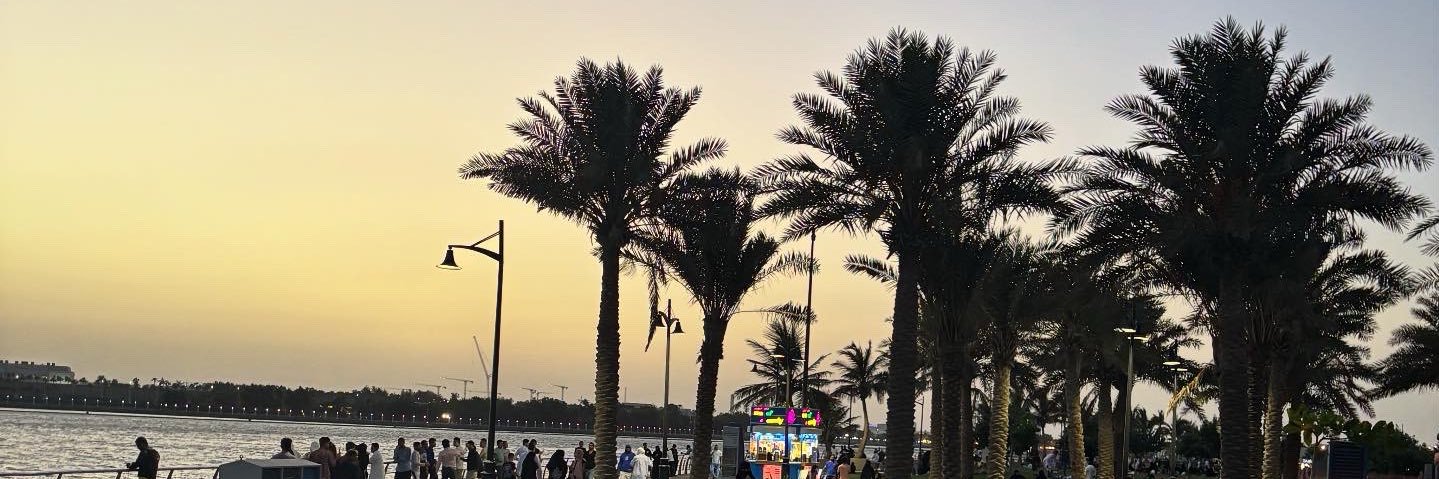 lissaamaliah's profile banner image