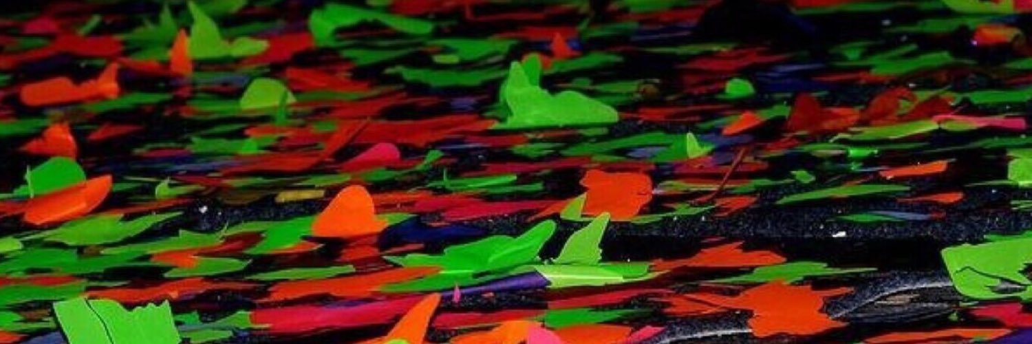 Camilotorra's profile banner image