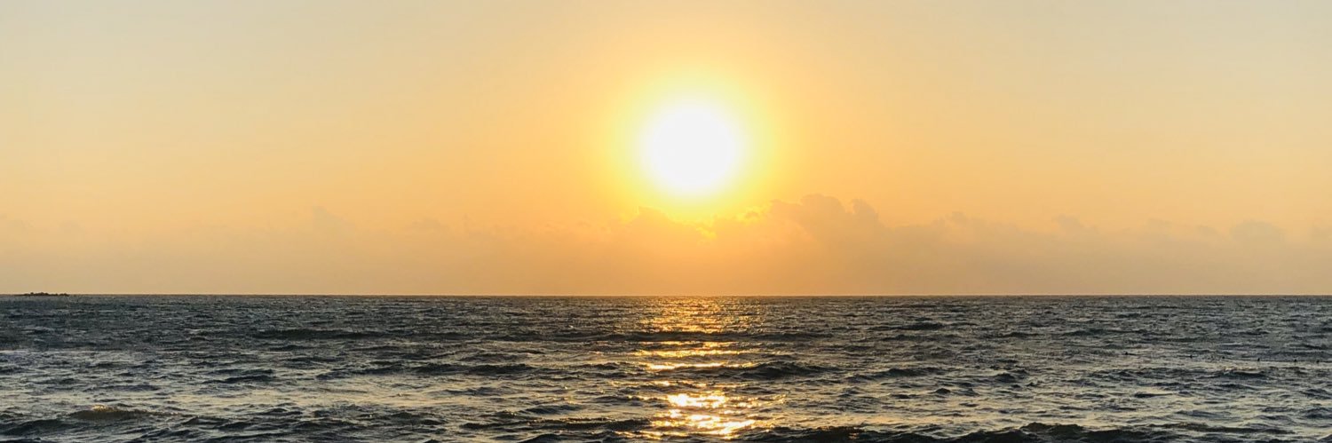 notbymistake's profile banner image