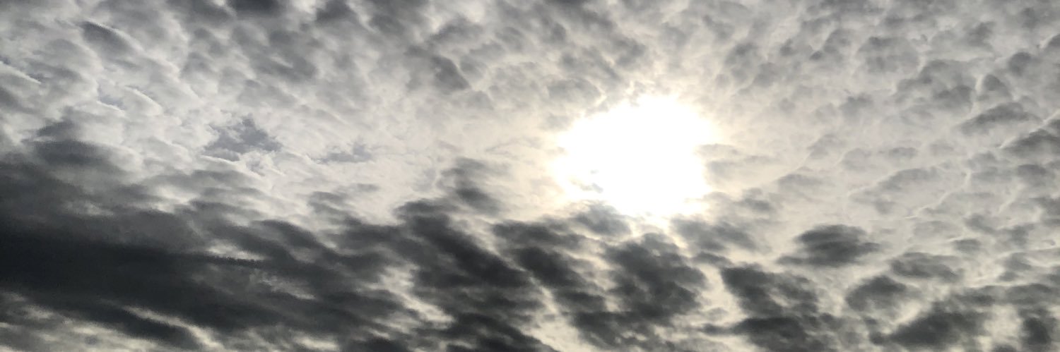 blossombeing_'s profile banner image