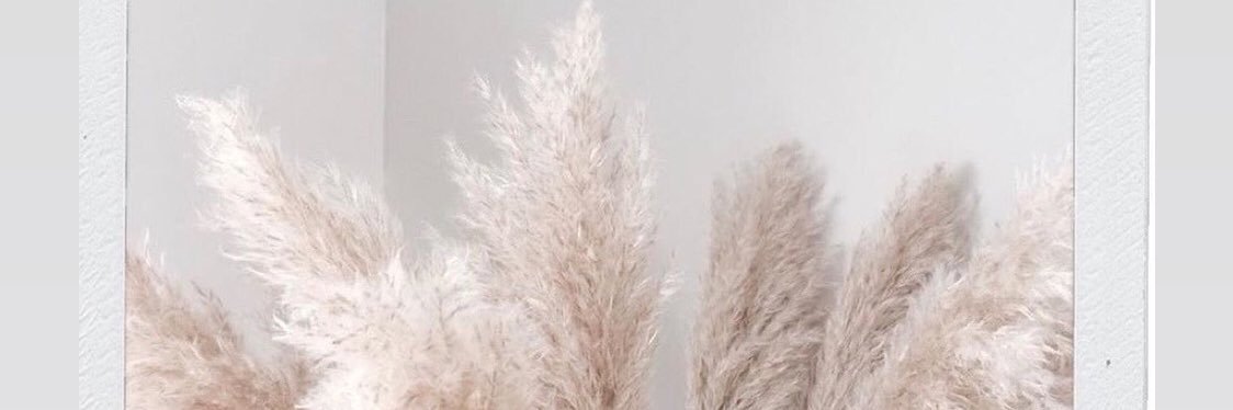 Charlotte Claire✨ banner