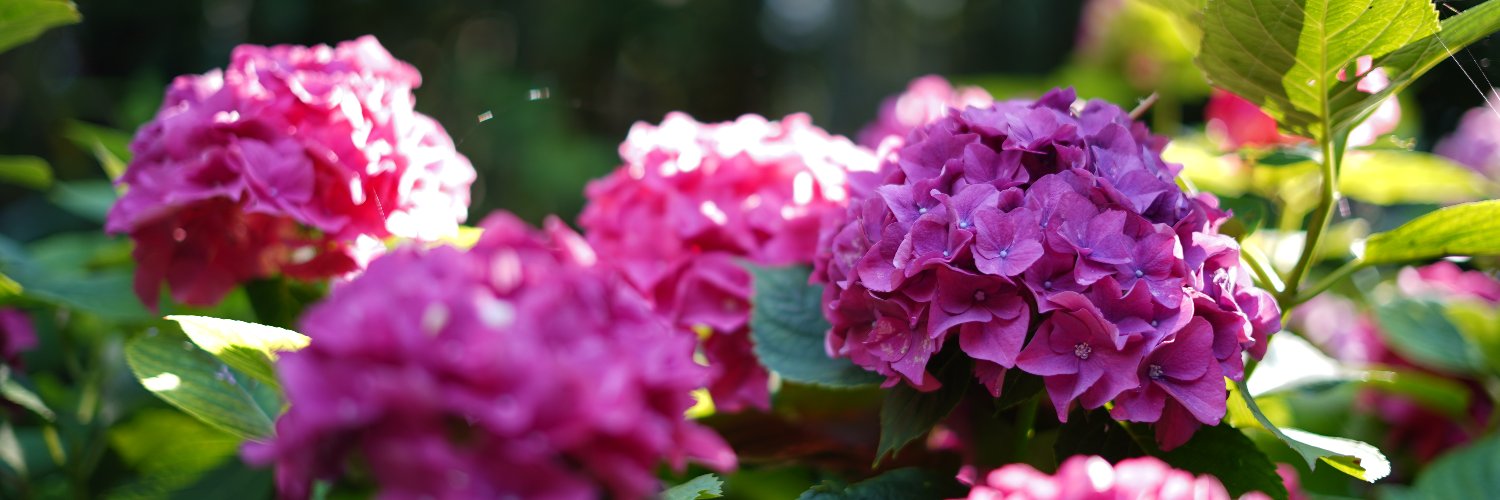 k3npy's profile banner image