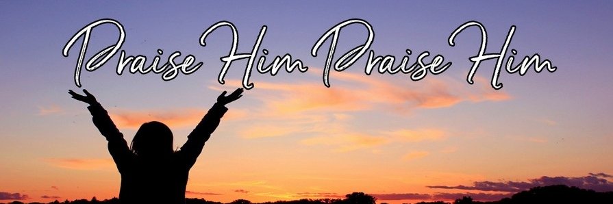roniheart's profile banner image