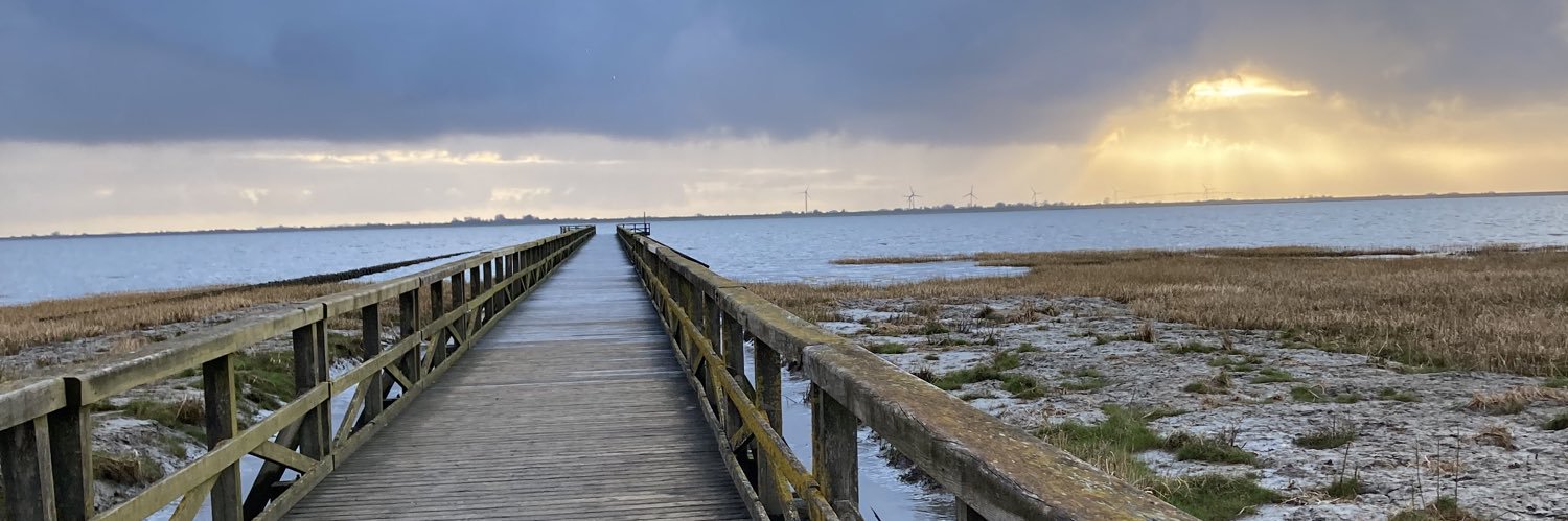 janne_fromberg's profile banner image