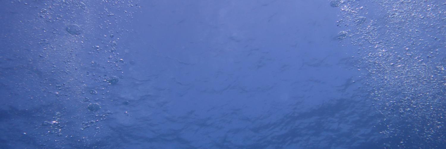 _sho_ta___'s profile banner image