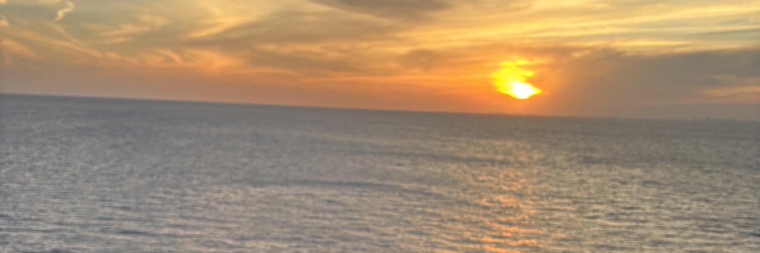 Heather Touzin banner