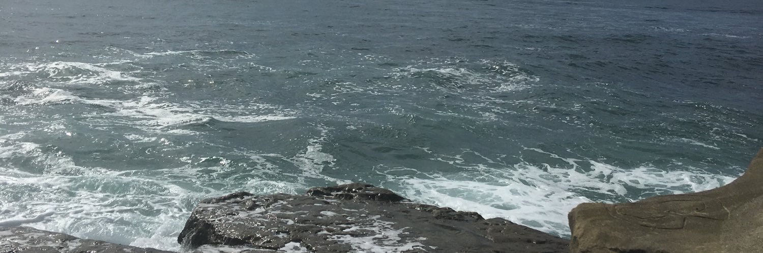 tayrosetom's profile banner image
